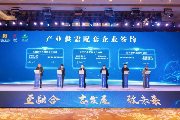 集團參加瀘永江產業(yè)協(xié)作推介會